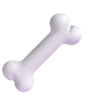 icon bone